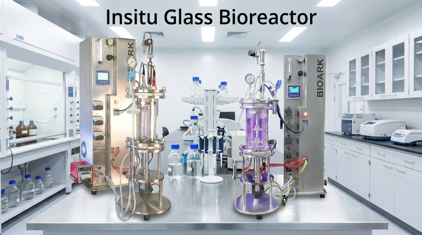 Insitu Glass Bioreactor