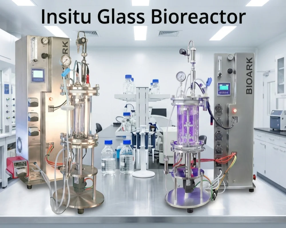 Insitu Glass Bioreactor