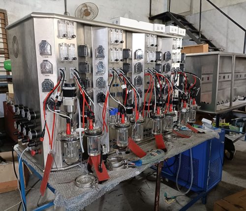 WhatsApp Image 2026-01-24 at 5.21.17 PM