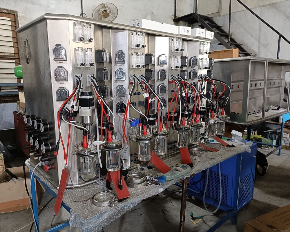 WhatsApp Image 2026-01-24 at 5.21.17 PM